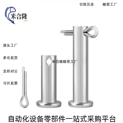 MIB01-02-06-11-12-13-14-15-21-31-32-D3 D4 D5 D6 D8带肩铰链销
