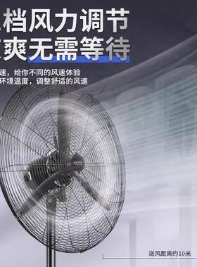 工间业烧电风扇大功率落地扇挂墙壁风扇车71194立式风烤大力牛角