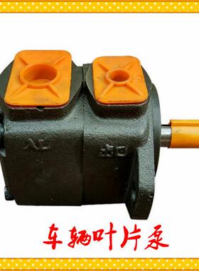 Y-B-A924C-DT-FF-10车辆叶片泵YB-AF11CDT-F-10叶AWQ片式油泵