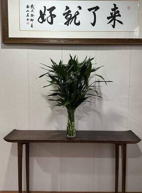 中式简约实木入户玄关禅意桌靠墙窄桌翘条HQP案头案几酒店端新p供