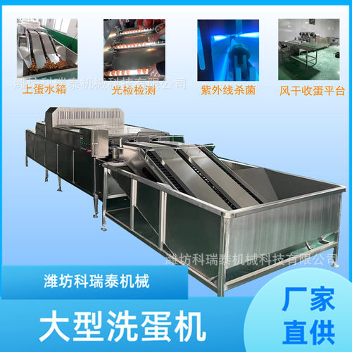 禽蛋类清洗机 全自动蛋品清洗机 厂家供应大型洗蛋机