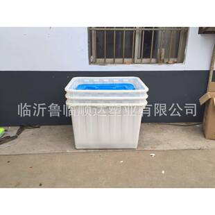 厂家供应160L型水殖箱白DIH色大养水箱塑料大水产箱周转箱