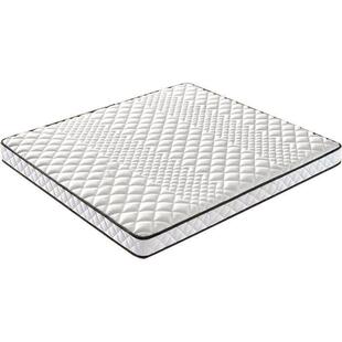 天然椰棕床垫硬护脊椎床垫偏硬童儿款TQH床垫环加硬棕垫床垫家用