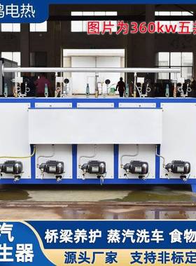 蒸汽发生器300KG工程混梁养护shdr216桥蒸煮酿凝土酒电加热蒸汽机