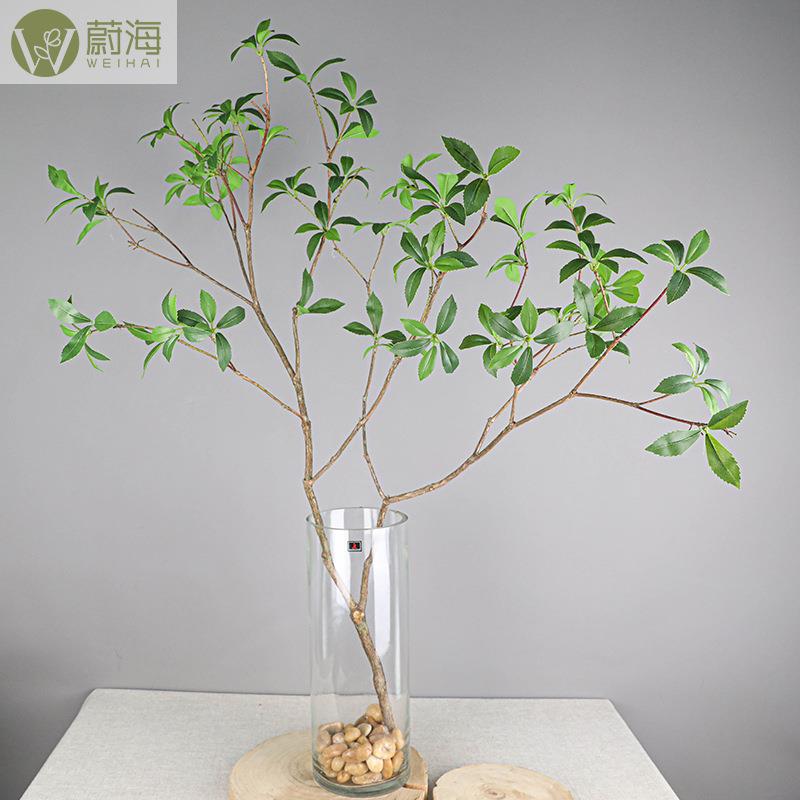 仿木真马醉叶片WH树叶假叶子绿色叶感装饰塑料绿叶摄影道手具树枝