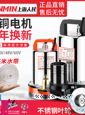 上海人民12V24V48V60V72V直流潜水泵抽水泵家用农用刷车电动车