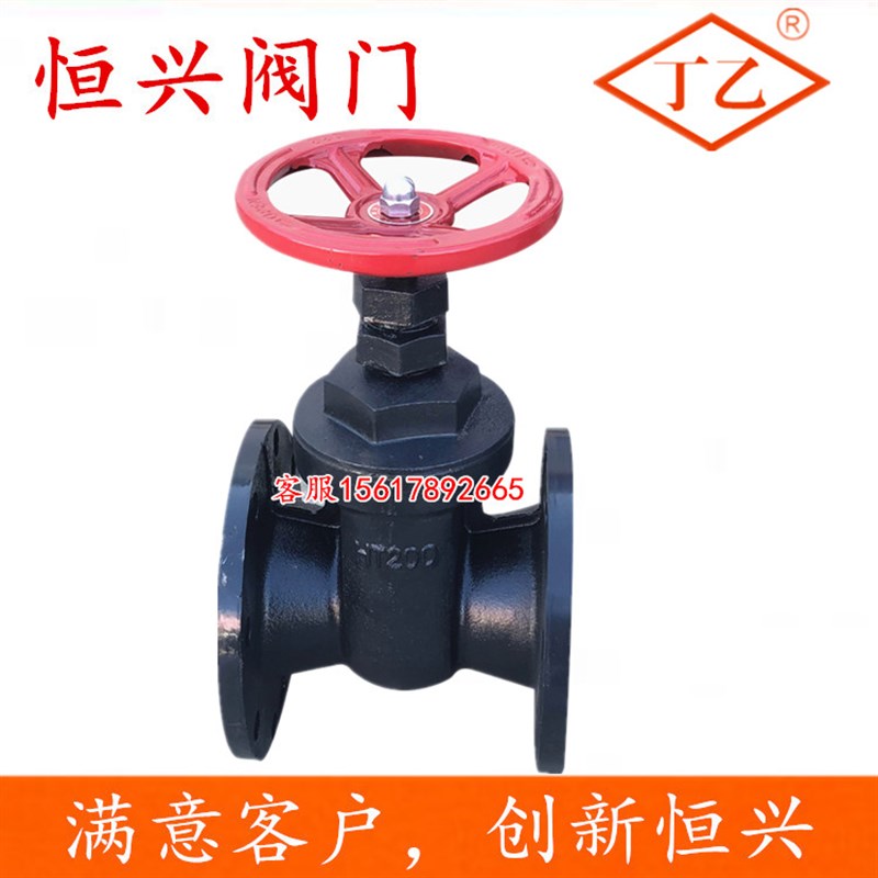 新型中部丝扣闸闸门铸铁法兰闸板DN   100 1 1 200