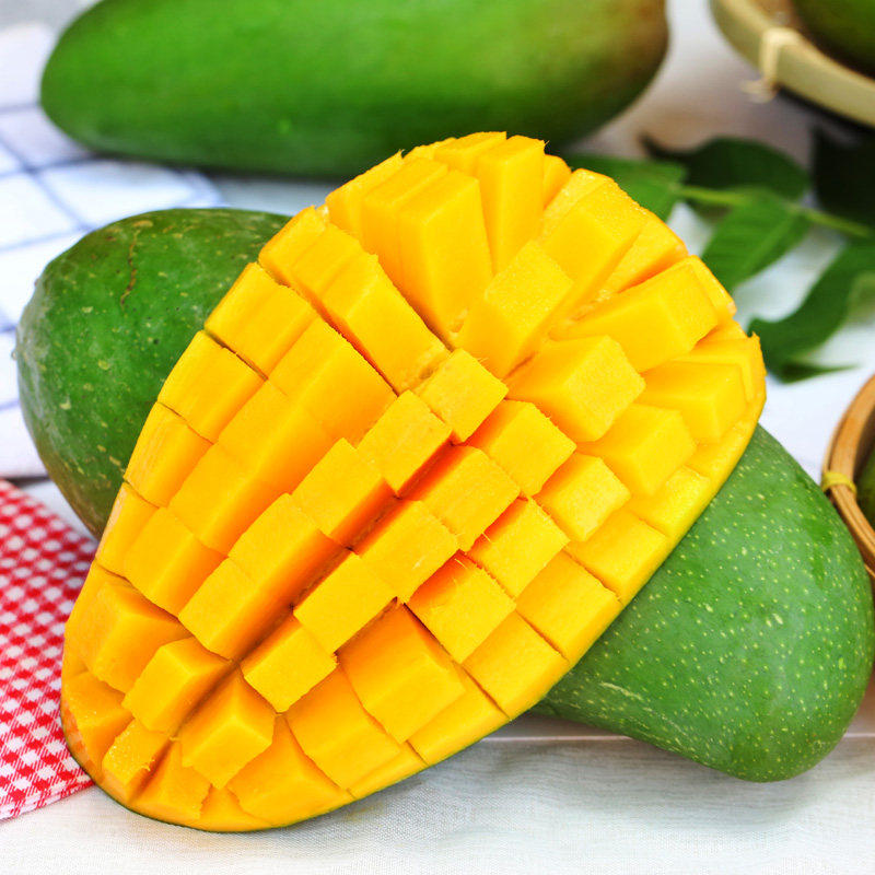 果园现摘玉芒果3-4.5斤包邮