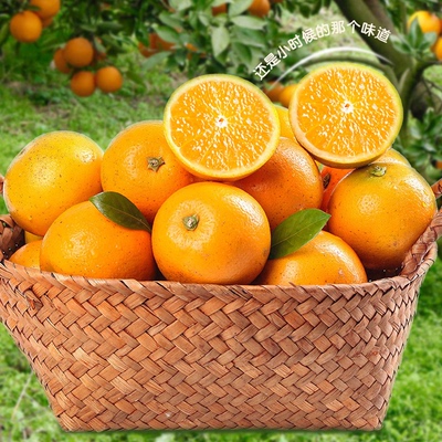 正宗湖南怀化麻阳冰糖橙整箱5斤净重4.8斤包邮