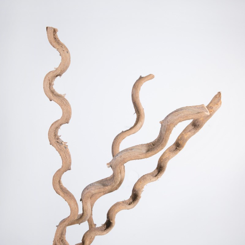 干枝干花虬龙藤干藤条干花树藤干枝装饰花藤仿真花藤枯藤山藤条