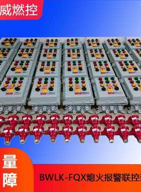 半连续锻造加热炉熄火安全报警装置BWLK-FQX