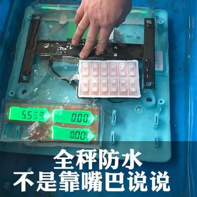 商摆摊小型防台秤海鲜水产秤水FS果秤30市kg公水斤菜场称重电子用