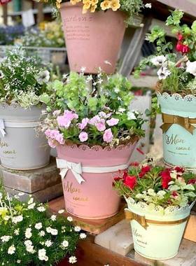 盆家用铁皮蕾丝边镂园艺装饰花园空户外庭XPD阳台花花器铁艺院花