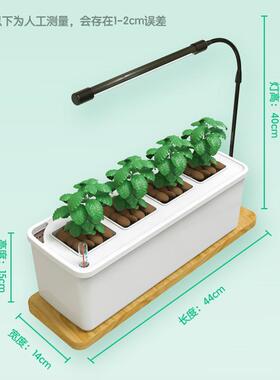 新款室0789内水培种箱备家庭阳台面无土栽培设花卉桌盆栽植物花植