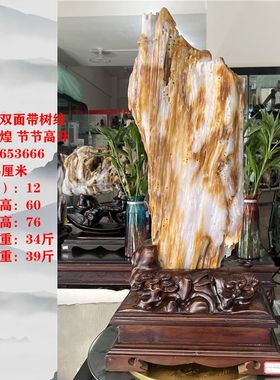 树化玉原石摆件家居客厅木化玉靠山石天然树化石书房观赏石木化石