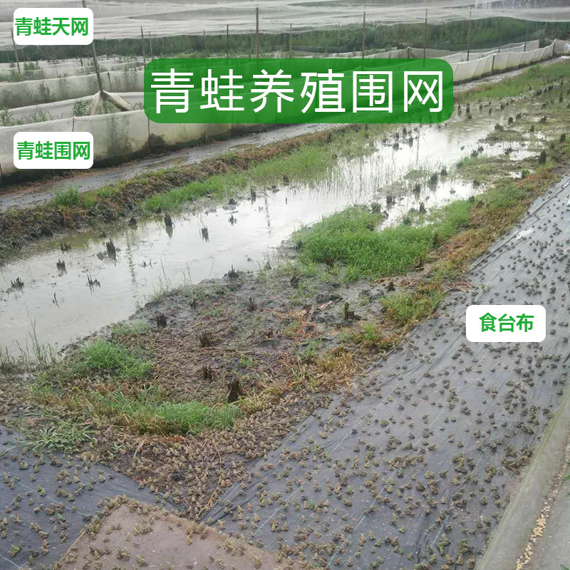 青蛙围网养殖防逃网池塘围栏尼龙鱼塘专用食台网牛蛙防虫网