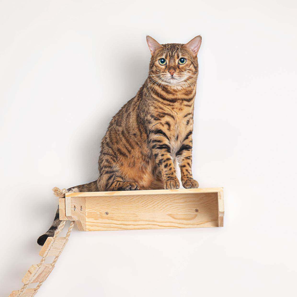 式TDB现货壁挂猫架吊床实木台家居墙上悬挂式猫树梯猫跳猫猫窝