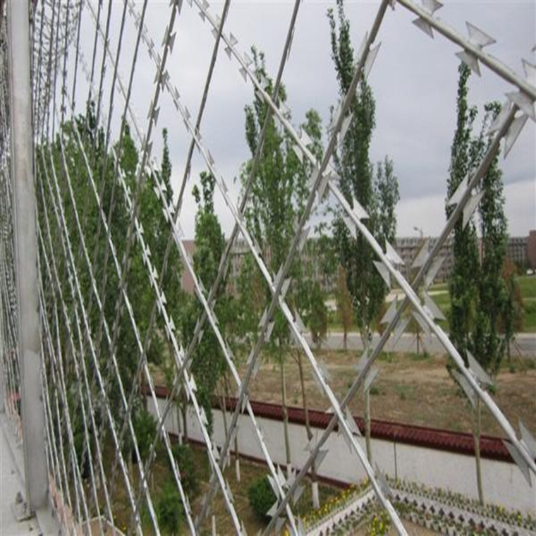 304不锈钢刀片刺网直径50厘米厂家批发