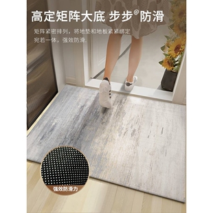 入户门地垫进门地毯门口脚垫轻奢新款门垫耐脏免洗可裁剪墨染请