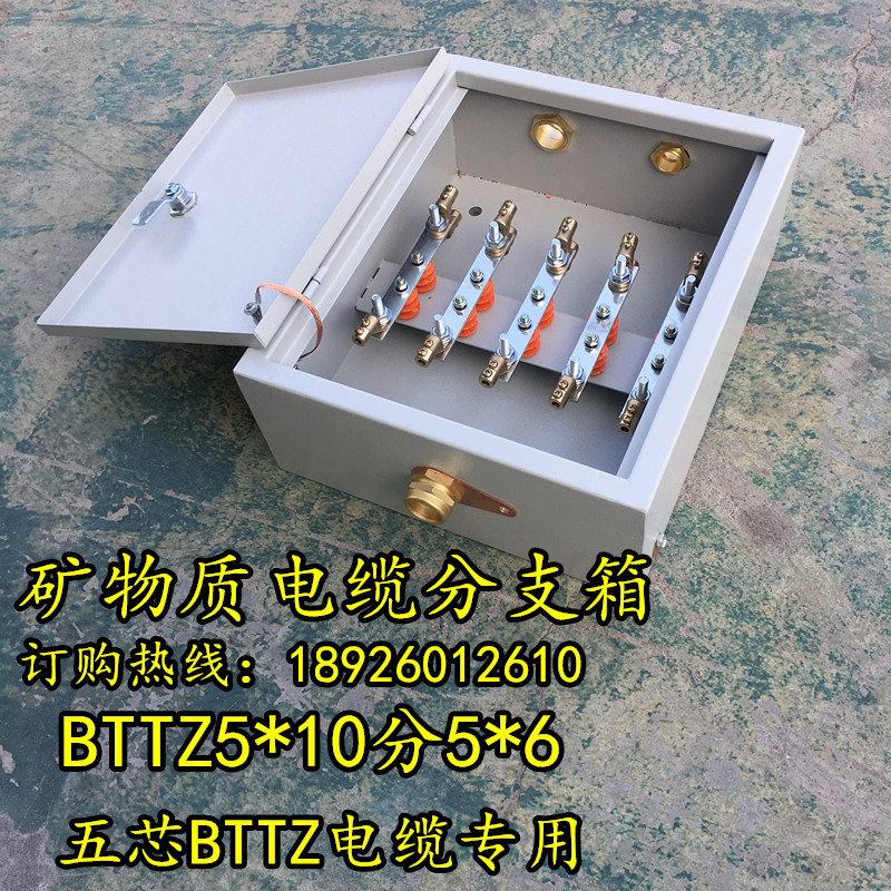 矿物质电缆分支箱BTTZ4*16分4*6防火电缆分支箱T接箱分支盒