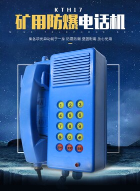 防爆电话KTH17A/防水防潮/隧道电话/矿用电话