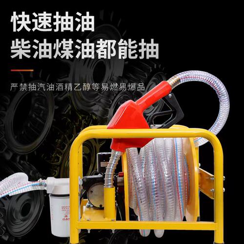 电动抽油泵柴油12v24v220v伏加油机计量泵车载小型加油枪带