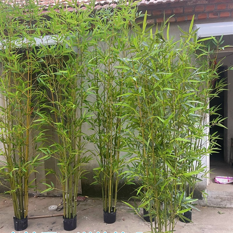 仿真竹子室内装饰假竹子隔断屏风挡墙订婚宴席装饰竹盆栽加密绿植