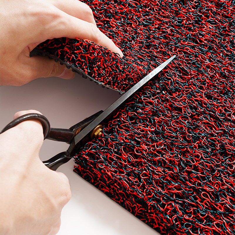 加厚丝圈地垫门口门外蹭土除尘门垫玄关可擦免洗耐脏防滑地毯入户