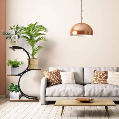 铁配木板三25750层S形铁花架室，内层多艺置物架展示架