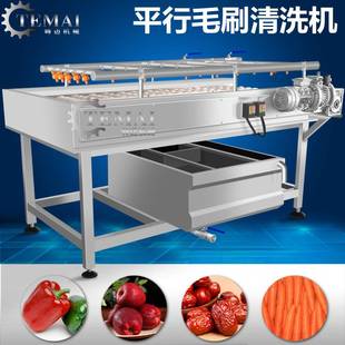 全自动平行式双毛刷粽叶清洗机喷淋式循环水芦苇叶箬竹叶洗叶机器