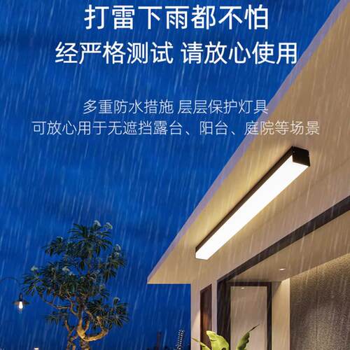 阳光房檐专用吸顶灯户外阳台入户光灯防走雨廊顶灯长条露3075台屋