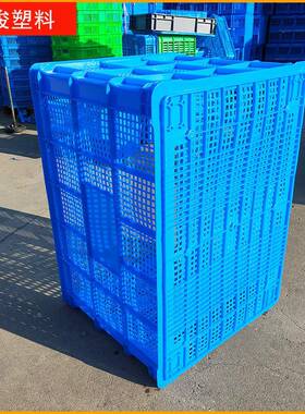 转筐加厚大7号55塑料镂POQ空框蓝色周蔬菜胶筐工业收纳多功能长方