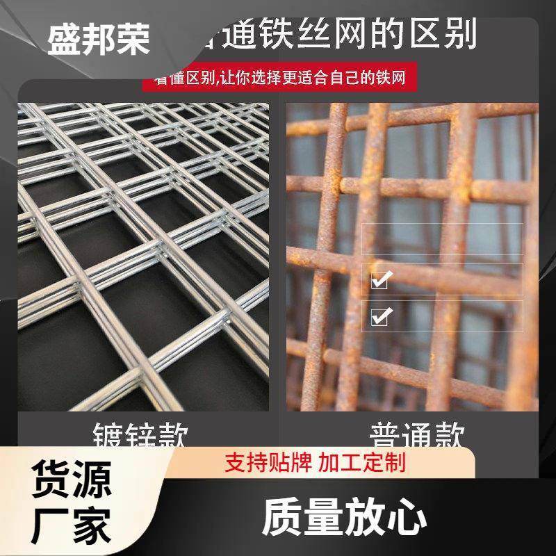 盛荣棚鸽子片地鸽舍加密电焊356邦格网鸽铁丝网镀锌围网防护网网