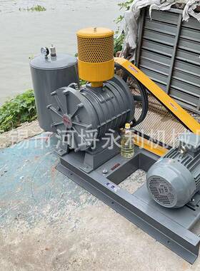 大功率回转式鼓风机 工业污水处理风机 HC-100S 江苏无锡厂家送风