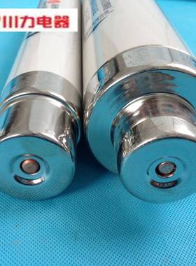 西0西德高压31295熔断器XRNT-010/1安-20A