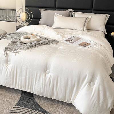 A类大豆纤维被芯婴儿子类a母级被秋冬被棉被保暖无品牌/单双人冬