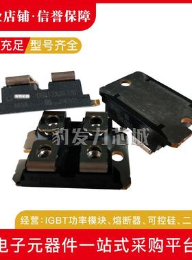 极DSEP2X31-12ADSEP无品牌/2X60-12ADSEPX61-12A612-12B101-04A二