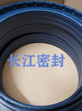 RE0DKOMBI80-125-10/19MSSLR85-8-113-19德SWG国CFW组合油封