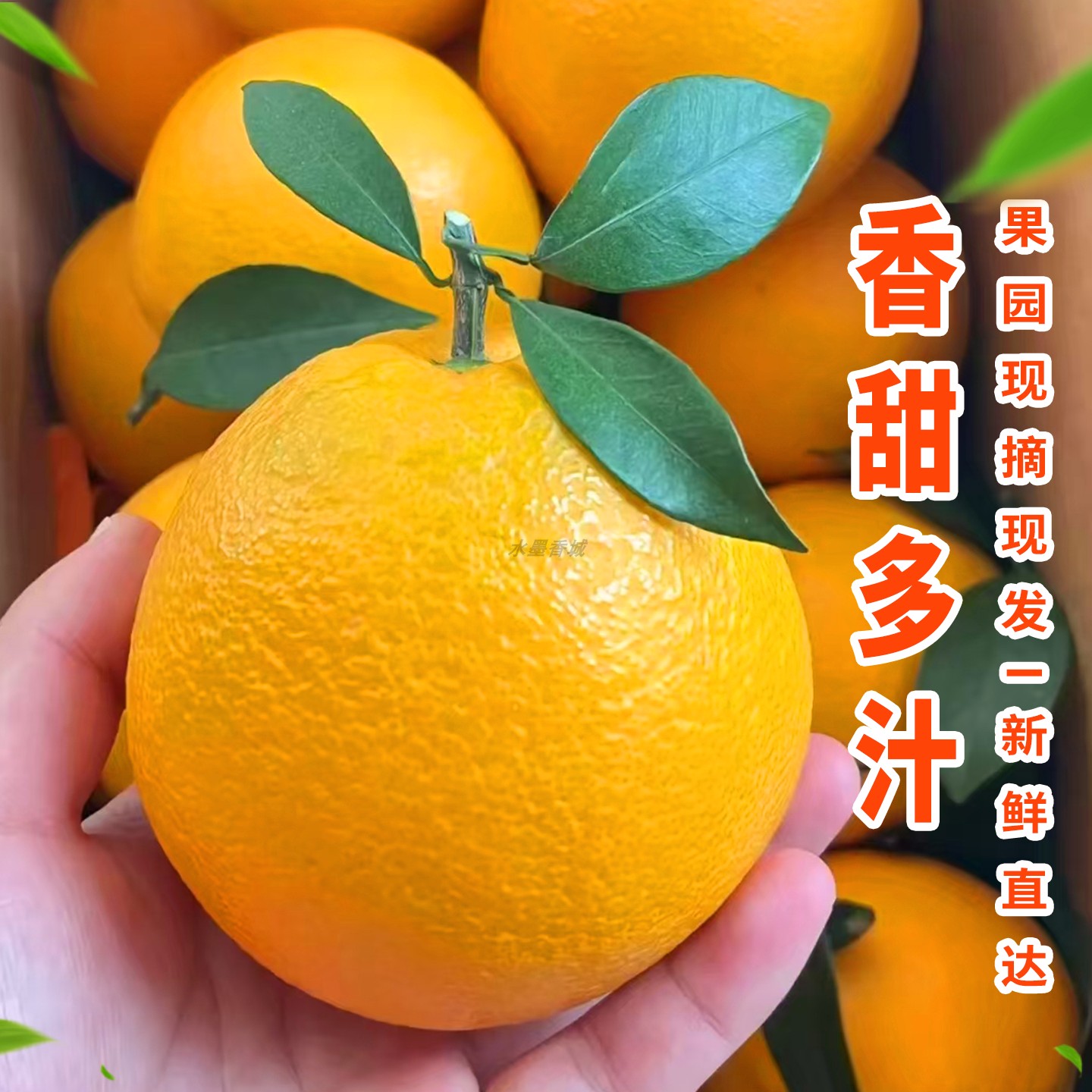 正宗江西橙子赣南脐橙新鲜10斤赣州产地直发水墨香城官方旗舰店