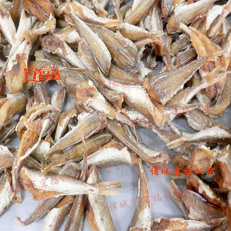 油炸机器设备_江苏海产品油炸机_宜福黄花鱼生产线厂家
