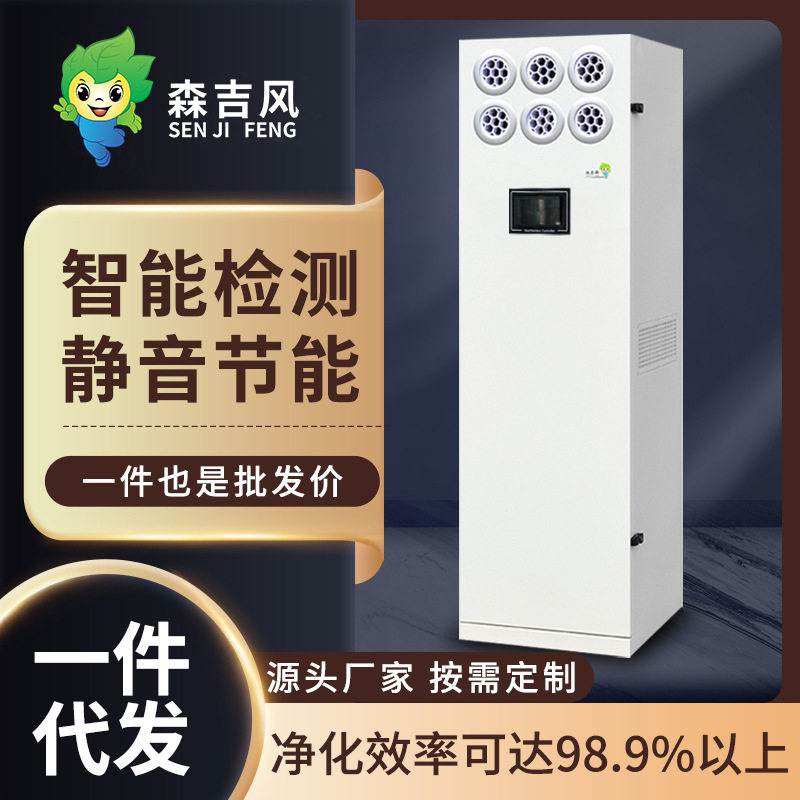 校园商用静音柜式新风净化