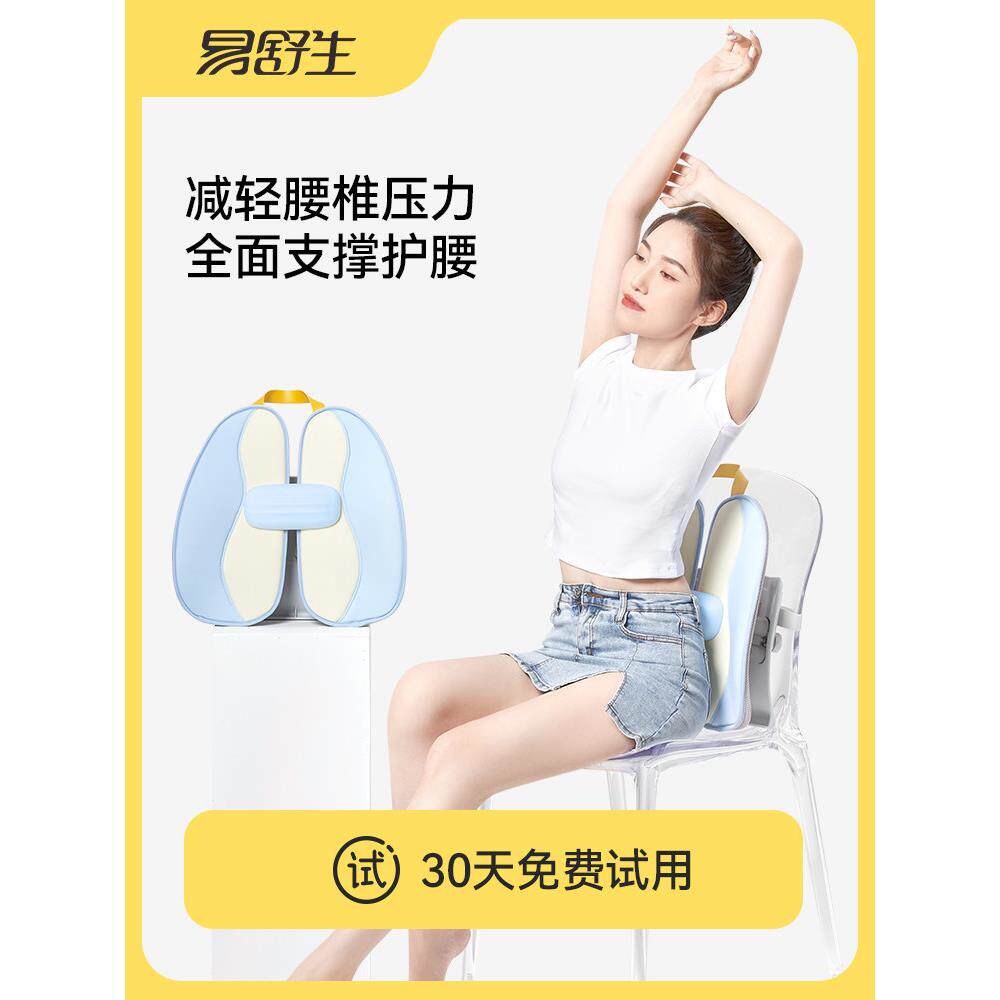 易舒生D8人体工学坐垫办公室腰垫座椅腰垫腰部保护器久坐汽车靠背