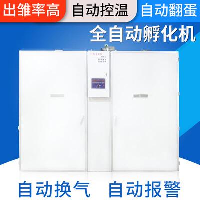 全自动大型鸡蛋孵化微应机型化器供HPW全自动19200孵化孵机器