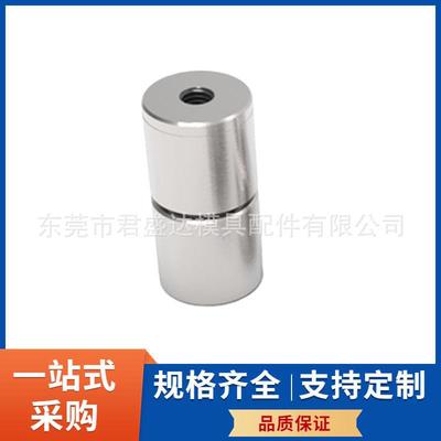 PUNNCH盘起标准模具圆锁TPTOLFT25-13TPNF25-20模具直T定位销组件