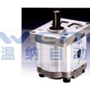 CBW-F310-ALHL,CEW-F304-CFP齿轮泵