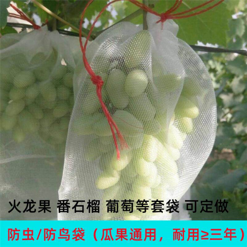 GSI宏袋荣果火龙果套袋套袋葡萄网套袋水果套防果蝇防虫防鸟袋尼