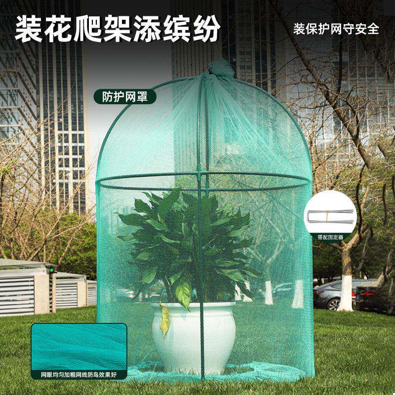 虫网罩莲雾防果防树果蝇白绿色加厚耐网用袋透气1透光农用防虫鸟