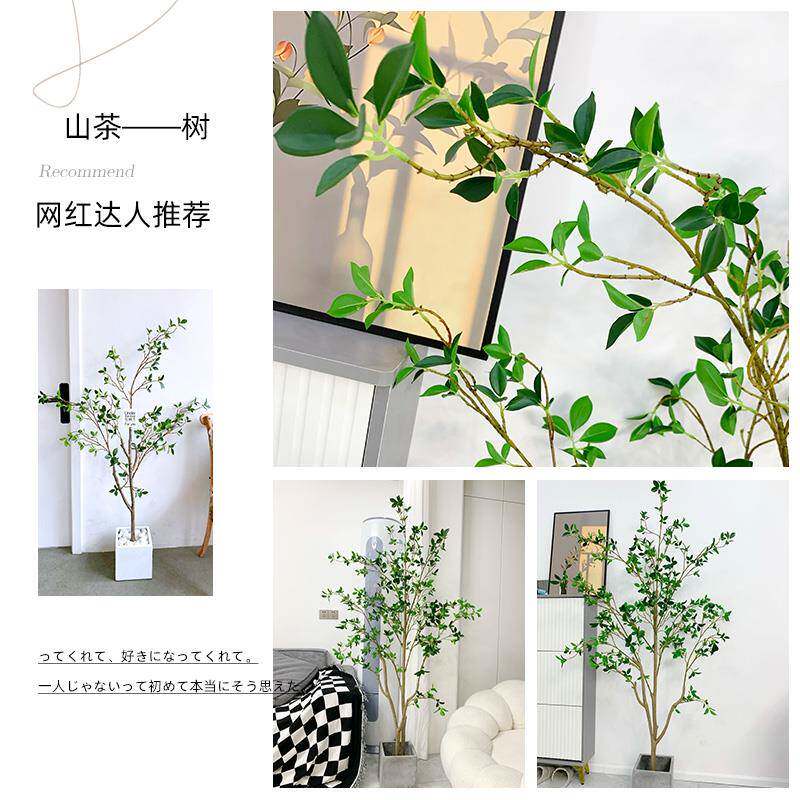 植假盆落仿生绿植服装店装饰树橱栽窗F768TT5M摆件地吊钟绿树植物
