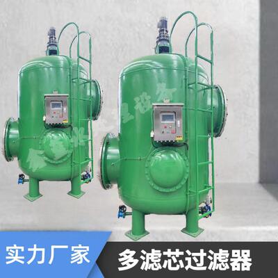 多滤芯过滤器自清洗滤水器全自动吸吮式不锈钢跨境热销可清洗