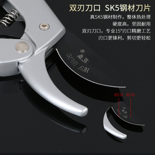 爱晨园艺剪刀修枝剪果树剪刀多功能家用省力树枝剪子工具修花剪刀